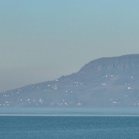 Balaton A Kertben - Balaton In The Garden - Beachfront Houses With Beautiful View, Private Beach Balatonfenyves Εξωτερικό φωτογραφία